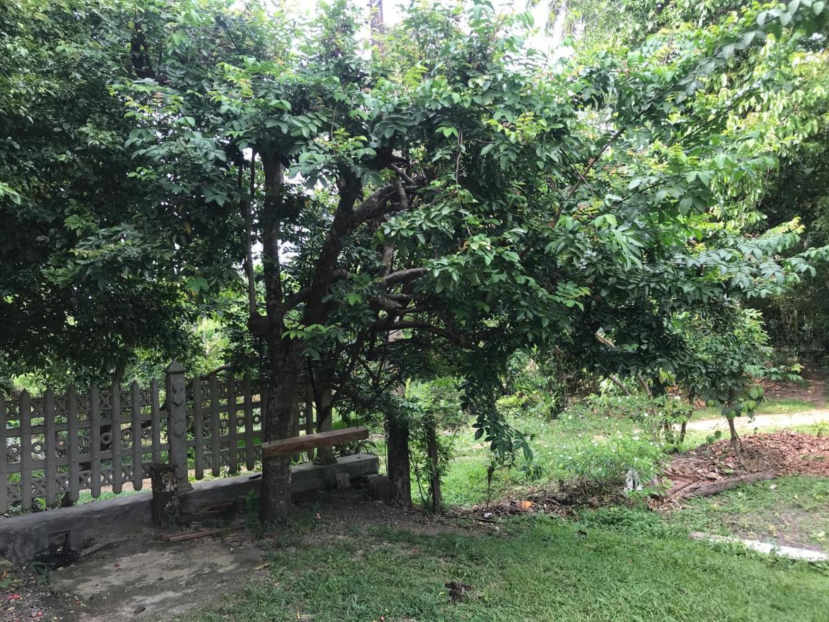 Eco Willow - Kathaluwa Atadahewatugoda Bagian luar foto